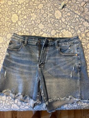 Denim Cutoff Shorts in Blue - Unbranded